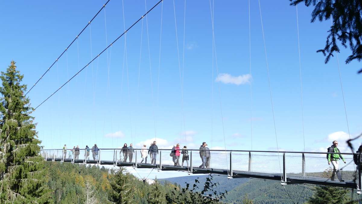 Bad Wildbad: Imposante Ausblicke von der Hängebrücke Wildline
