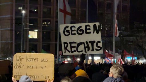 Demo gegen Rechtsextremismus am 17. Januar 2024 in Freiburg im Breisgau. (Symbolbild) Foto: dpa/Valentin Gensch