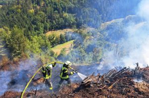 Vegetationsbrände wie der  in Kirnbach im vergangenen Jahr stellen  für die Feuerwehren eine große physische Herausforderung dar. Foto: Archiv/Feuerwehr