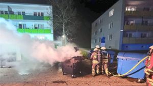 Müllcontainer geht in Flammen auf