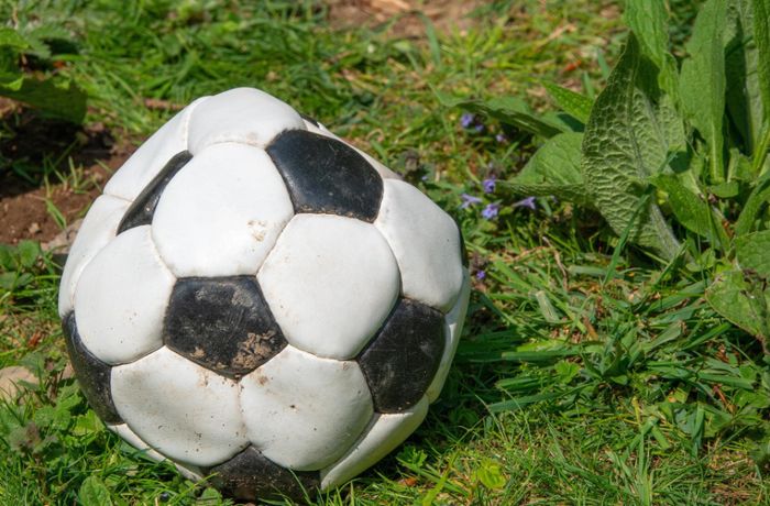 Vereinssport unter Druck: Werden die Horber Sportvereine bald zu Einzelkämpfern?
