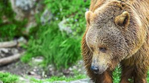 Radler unterstützen Bärenpark mit Spenden-Tour