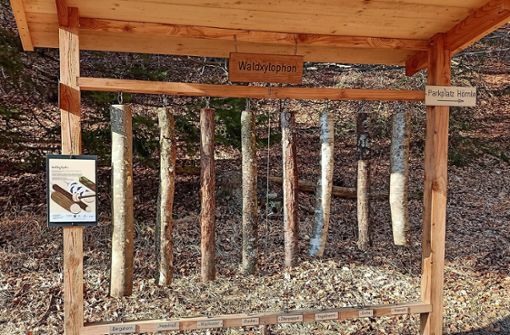 Ein Waldxylofon haben die Kohlraisle auf dem Waldlehrpfad aufgebaut. Foto: Gerstenecker