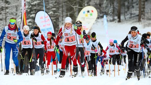 Bei den Langlaufwettbewerben im Schonacher Skistadion im Wittenbach sind 541 Langläufer am Start. 67 davon mit seh- oder geistiger Behinderung. Foto: JTFO, Scampics Foto: Schwarzwälder Bote