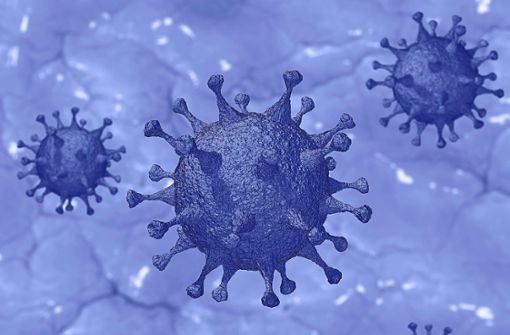 Das Gesundheitsamt informiert über die Entwicklung der Pandemie im Schwarzwald-Baar-Kreis. Foto: Pixabay