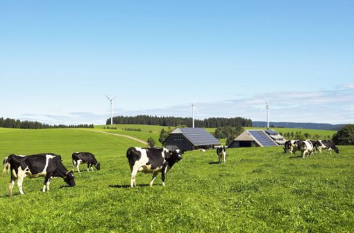 Nicht nur in der Tierhaltung, sondern auch beim Ausbau der erneuerbaren Energien liegen Hebel für das Erreichen der Klimaziele in Baden-Württemberg. Foto: imago/imagebroker//Daniel Schoenen