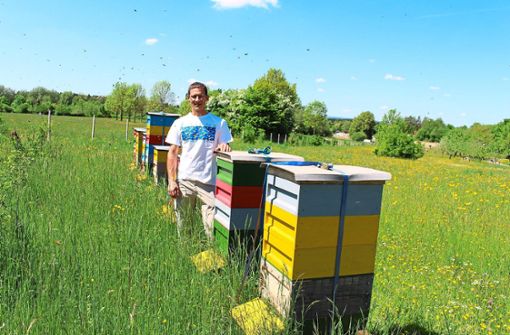 Ein viel umschwärmter Mann ist Imker Rainer Rebholz. Er hat viele seiner Bienenstöcke in Bad Dürrheim stehen, so wie diese am Rande des Kurparks bei der Wasserbüffelskulptur. Foto: Strohmeier