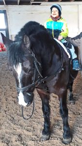 Eron macht auch eine Reittherapie, die ihm sehr gut tut. Hier sitzt er stolz auf dem Pferd Burzel. Foto: Schwarzwälder Bote