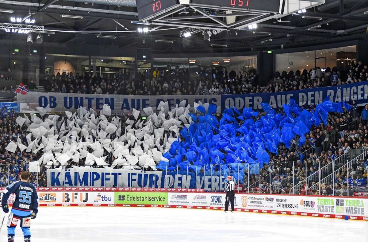 An den Fans der Wild Wings hat es nicht gelegen. Foto: Eibner-Pressefoto/Florian Schust