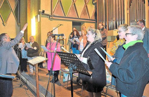 Die Sängerinnen und Sänger des Geislinger Kirchenchors St. Ulrich. Foto: Koch