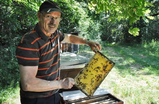 Produziert seine Bienenwachsplatten selbst: Imker Jürgen Veser. Foto: Rahmann