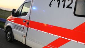 Stammheim: Pedelec-Fahrer stirbt