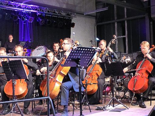 Ein großes Festival-Orchester steht beim Bergstadtsommer zur Verfügung. Im Bild die Cello-Gruppe zu sehen. Fotos: Kouba Foto: Schwarzwälder-Bote