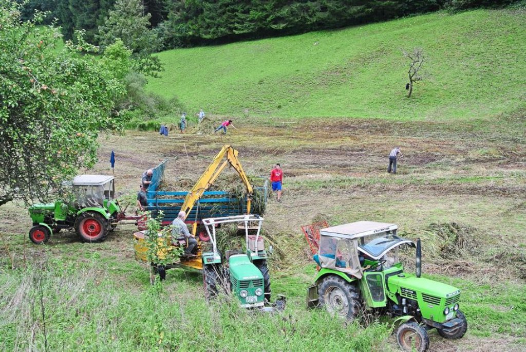 Zehn Helfer des Schwarzwaldvereins Dießen engagierten sich auch dieses Jahr wieder bei der Pflege der Tuffrinne.