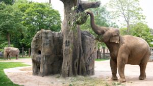 Karlsruher Zoo wird überraschend zum Millionen-Erbe