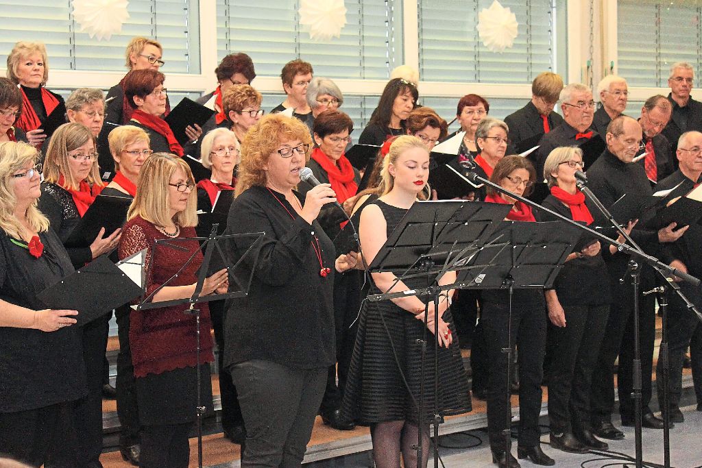 Der Gesangverein Effringen sorgte mit einem abwechslungsreichen Programm für einen kurzweiligen Nachmittag in der Schönbronner Halle.  Foto: Geisel Foto: Schwarzwälder-Bote