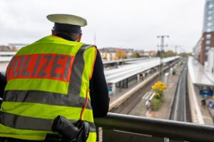 Eine 18-Jährige wurde in Freudenstadt von einer S-Bahn erfasst und verletzt. (Symbolfoto) Foto: dpa