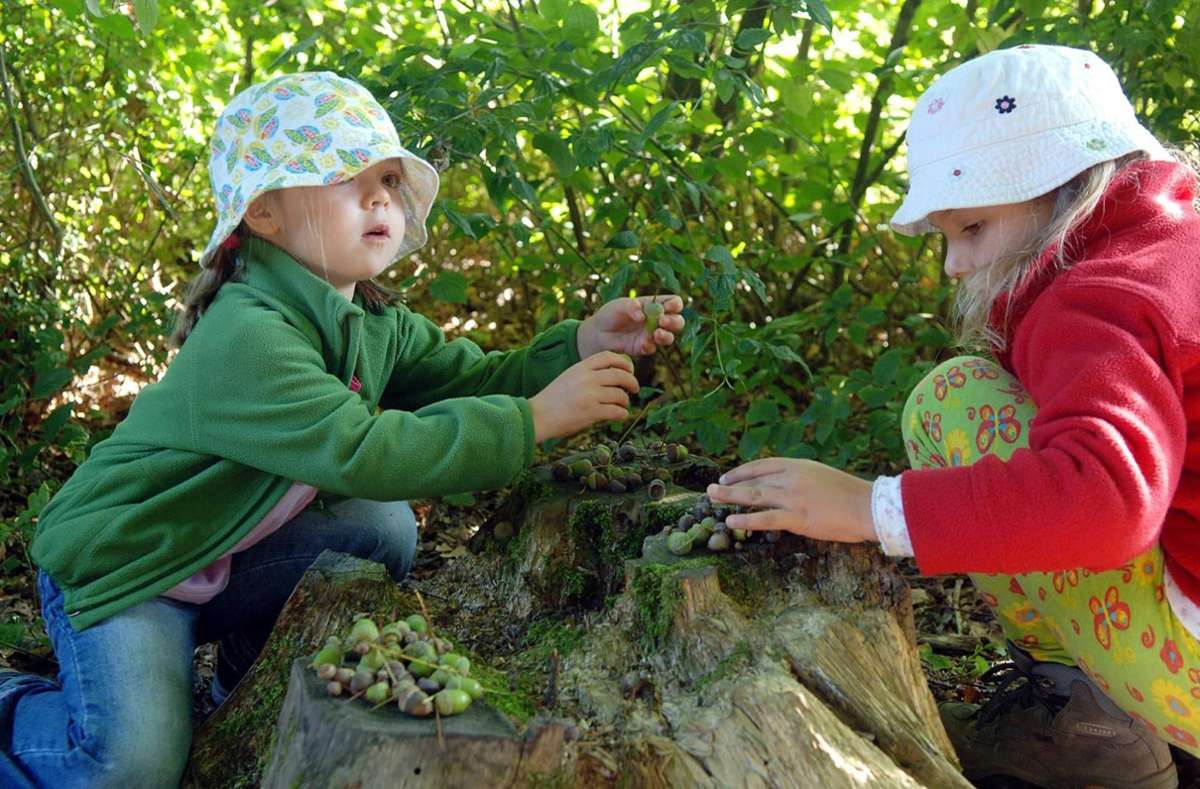 Für diese beiden Mädchen liegt der Besuch des Althengstetter Waldkindergartens schon einige Jahre zurück. Sie dürften sich aber noch gerne wie viele andere Kinder an die spannende Zeit in der Natur erinnern. Foto: Fritsch