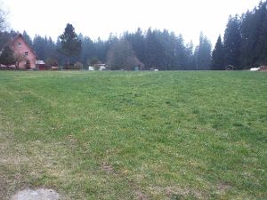 Im Gebiet Beerenreute wird ein Sondergebiet ausgewiesen, um wildes Bauen zu verhindern.  Foto: Vaas Foto: Schwarzwälder-Bote