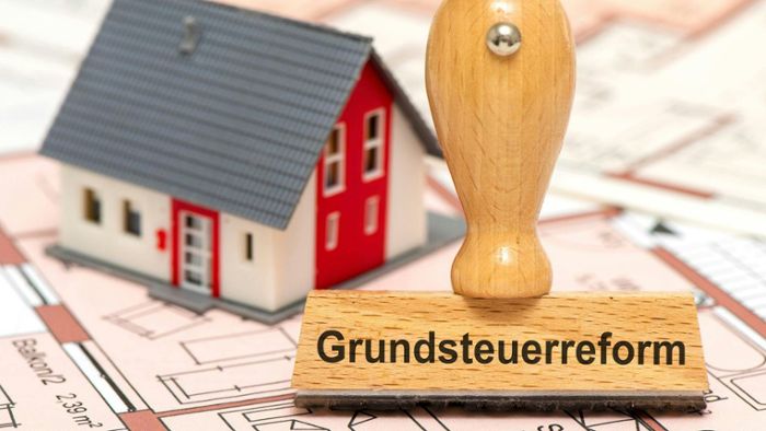 Grundsteuer Einliegerwohnung Angeben
