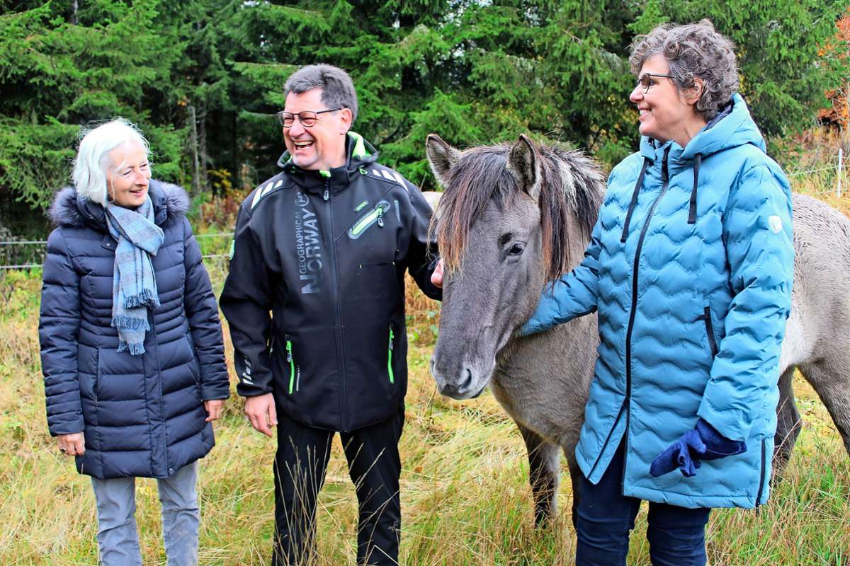 Naturschutz Kniebis-Alexanderschanze: Wie Konikpferde die Schwarzwald-Landschaft erhalten