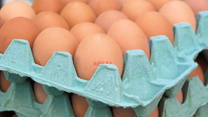 Paradieshof in Schonach darf wieder Eier verkaufen