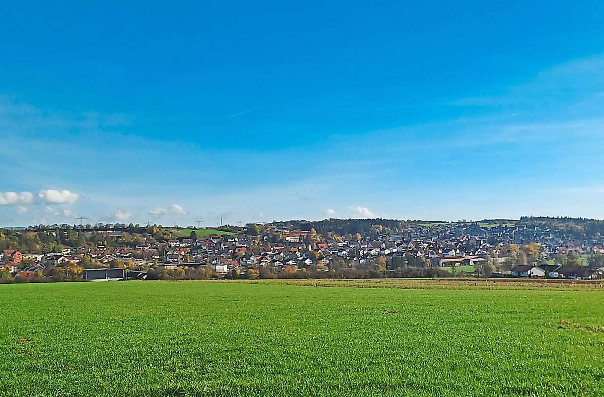 Die Gemeinde Brigachtal hat im Orts-Check Spitzenwerte erzielt. Foto: Huber