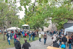 Im Hof der Hohennagold wird bei der Burgbewirtung des Bürgerforums allerhand geboten sein. Foto: Fingerhut Foto: Schwarzwälder-Bote