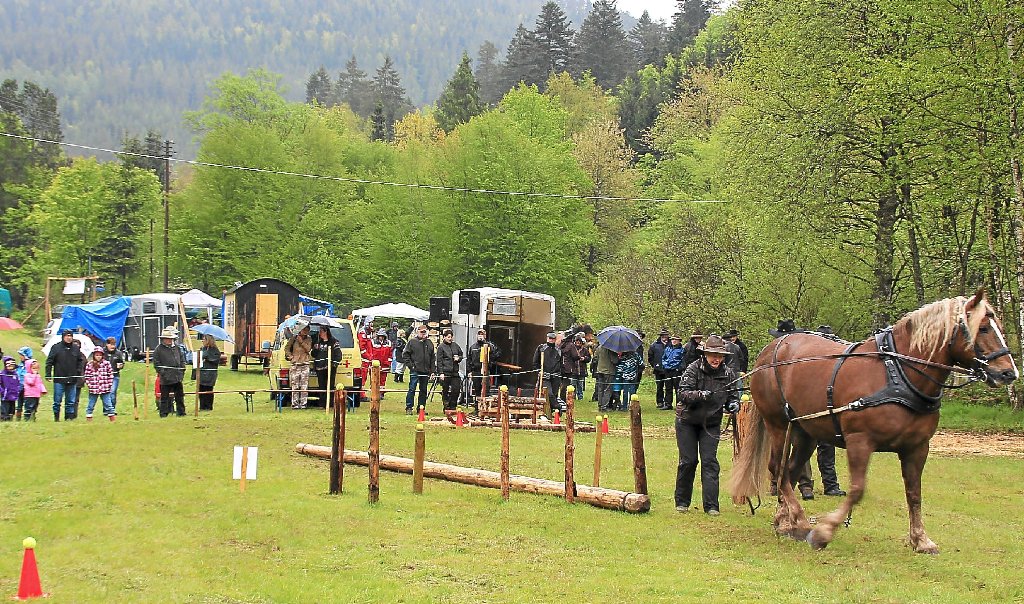 Konzentration, Geschicklichkeit sowie Wetterfestigkeit waren beim Holzrücketurnier im Rohnbachtal von den Teams gefordert.