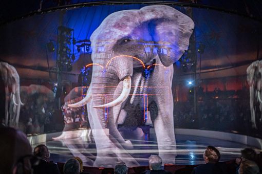 Tiere gibt es im Circus Roncalli nicht mehr: Sie wurden 2018 durch Holografie ersetzt. Foto: Circus Roncalli