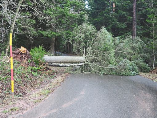 Noch am Montagmorgen versperrten umgestürzte Bäume die einzige Straße nach Hünerberg. Foto: Mutschler