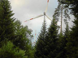 Durch die politische Vorgabe, bis zum Jahr 2020 zehn Prozent des Stroms aus Windenergie zu generieren, werden die Windräder auf der Gemarkung Seewald in den nächsten Jahren wahrscheinlich Zuwachs bekommen.   Foto: Schalscha
