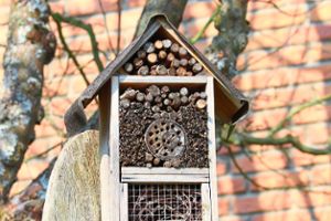 Mit dem Bau eines Insektenhotels will man in Schonach einen Beitrag zum Schutz der Kerbtiere leisten.Foto: Pixabay Foto: Schwarzwälder Bote