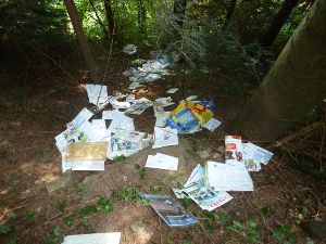 Über 500 Postsendungen hat ein Mann bei einem Waldspaziergang gefunden - verteilt über den ganzen Waldboden. Foto: Polizei