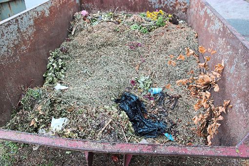 Schon wieder liegt  illegal entsorgter Müll im Container beim Friedhof in Rohrdorf.  Foto: Feinler Foto: Schwarzwälder-Bote