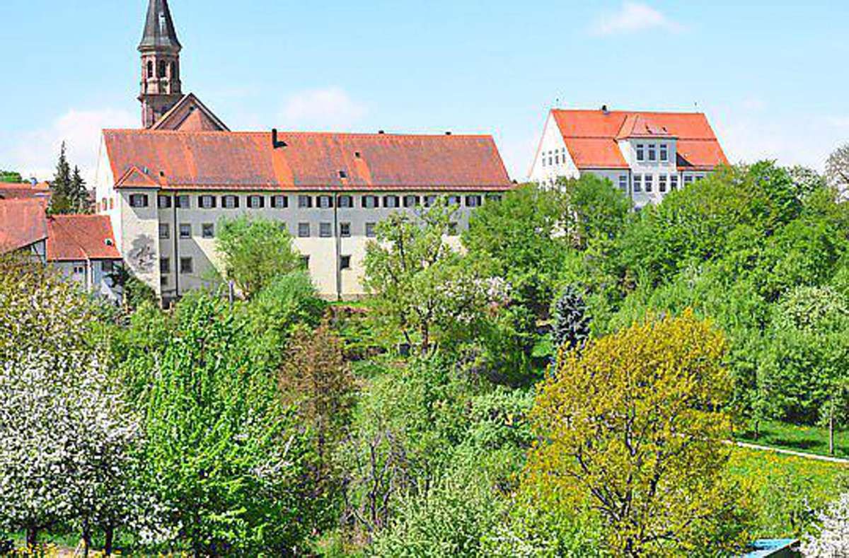 Das ehemalige Binsdorfer Klostergebäude liegt auf der Stadtmauer auf und hat eine Länge von rund 50 Metern. Im Vordergrund zu sehen: der in seiner Grundstruktur ebenfalls weitgehend erhalten gebliebene barocke Klostergarten. Foto: Moser