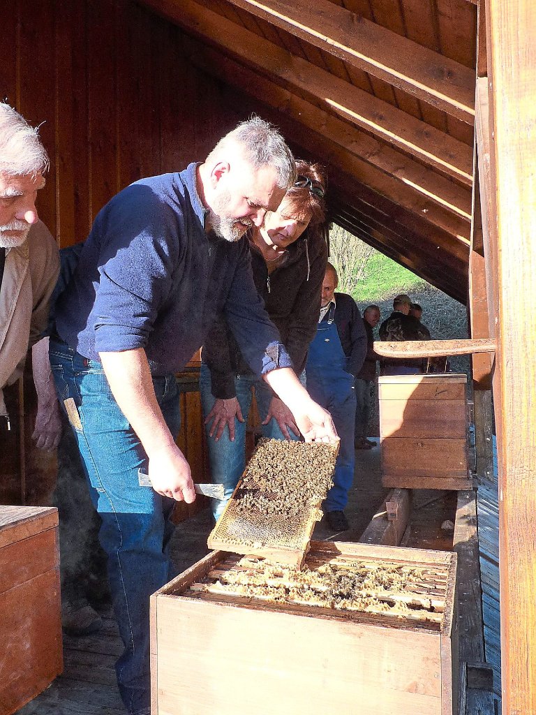 Der Vorsitzende des Bienenzuchtverein Kinzigtal, Klaus Dieterle,  zeigt Andrea Firner, worauf bei der Begutachtung der Bienenvölker im Frühjahr zu achten ist.