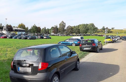 Mitten auf dem Feld wird von den Autofahrern ein eigener Parkplatz aufgemacht. Foto: Privat