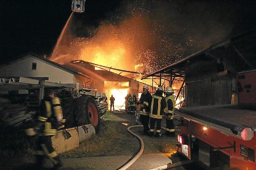 30 Kühe sind bei dem Brand in den Flammen gestorben. Foto: Schulz