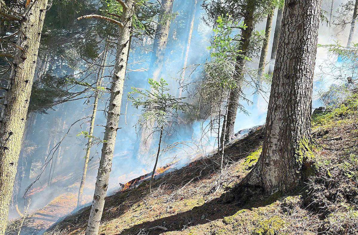 Zu einem Großeinsatz ist es aufgrund eines Flächenbrandes am Donnerstagnachmittag am Seewaldtunnel gekommen. Foto: Feuerwehr Gremmelsbach