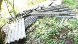 Eternitplatten im Wald entsorgt