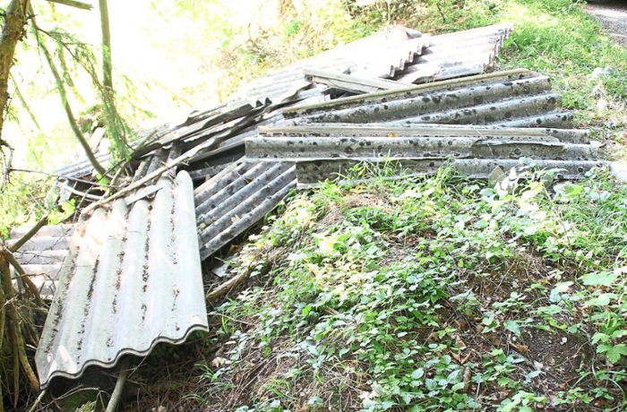 Müllsünder in Hondingen: Eternitplatten im Wald entsorgt