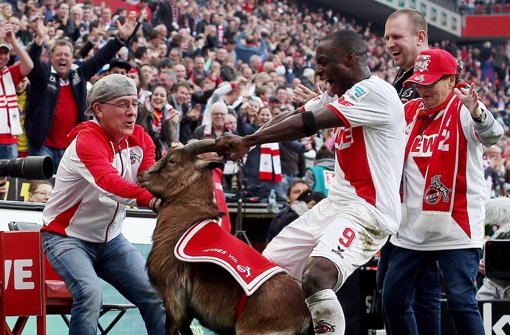 Maskottchen Hennes vom 1. FC Köln muss beim Jubel von Anthony Ujah dran glauben. Foto: dpa