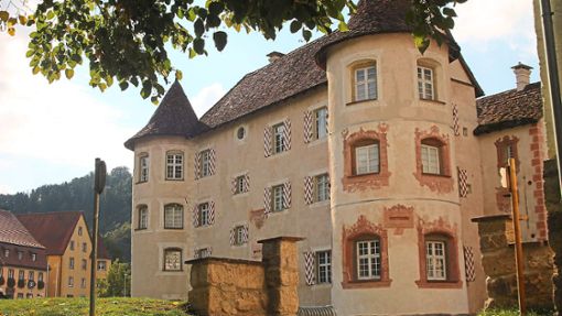 Mit der Sanierung der Fassades des Wasserschlosses in Glatt sollen auch Arbeiten am Teich vorgenommen werden. (Archivfoto) Foto: Müller
