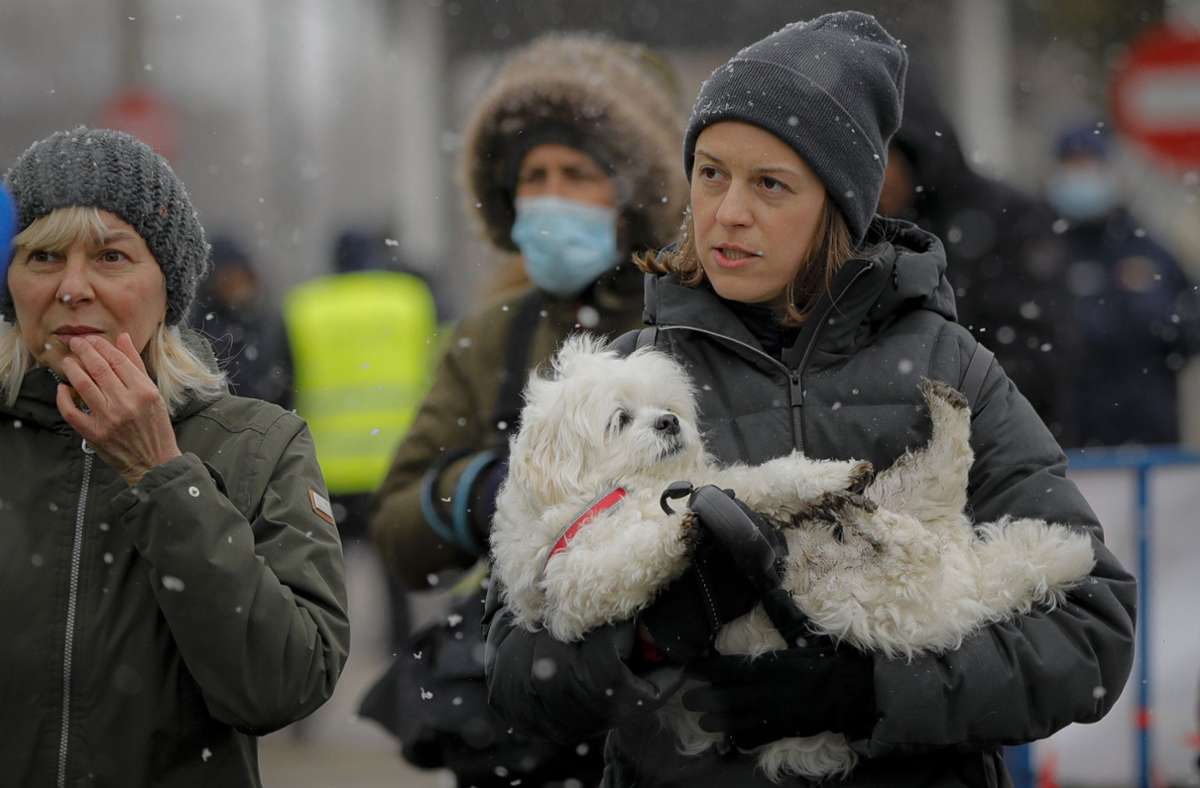 Manche Menschen aus der Ukraine nehmen bei der Flucht auch ihre Haustiere mit. (Symbolbild)