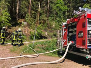 Die Feuerwehr löscht einen beginnenden Waldbrand im Eichbach. Foto: Moosmann
