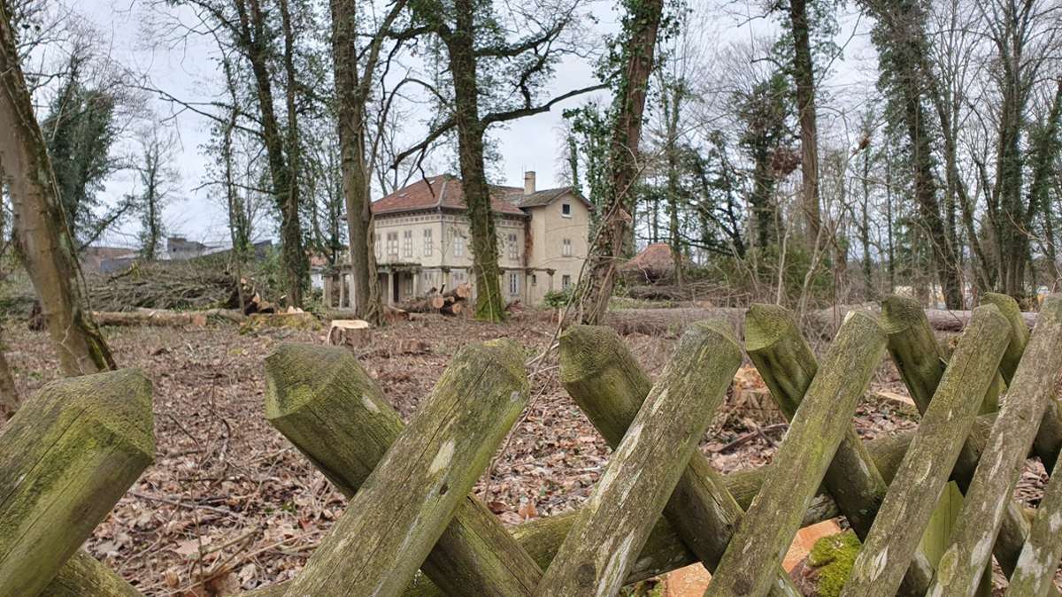 Villa Silberburg in Hechingen: Das sagt das Fürstenhaus zur Baumfällaktion