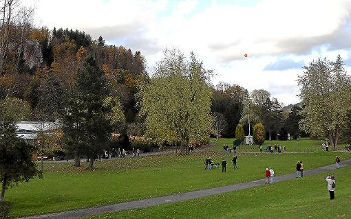 Der Ballon war etwa eine Stunde über der Schweizer Wiese zu sehen. Foto: Ballon