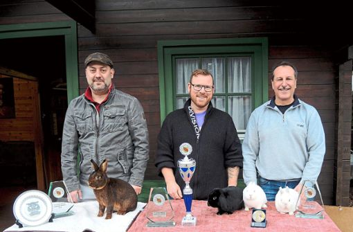 Micha Schindler (von links), Günther Bösel und Klaus Blum vom Kleintierzuchtverein C 71 zeigen ihre gewonnenen Preise von den badischen Meisterschaften. Foto: Kern