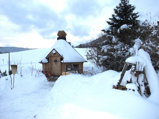 Im originalen finnischen Holzfällerhaus grillen die Gäste ihre Würstchen selbst. Foto: Borho Foto: Schwarzwälder-Bote